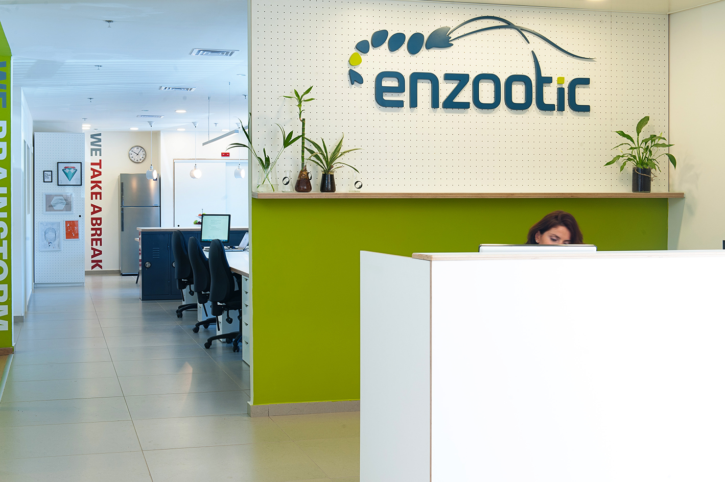 משרדי אנזוטיק - כניסה