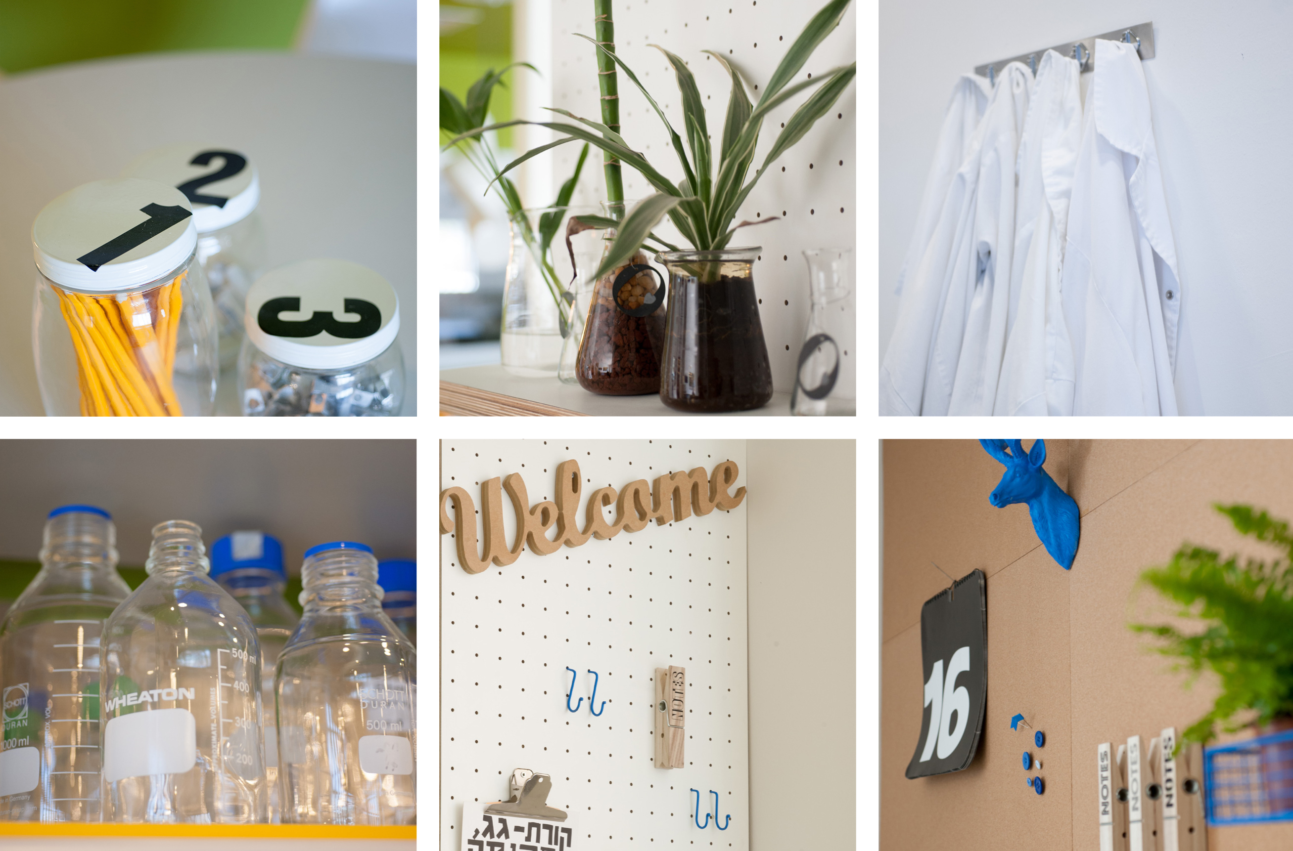 משרדי אנזוטיק קלוז אפ