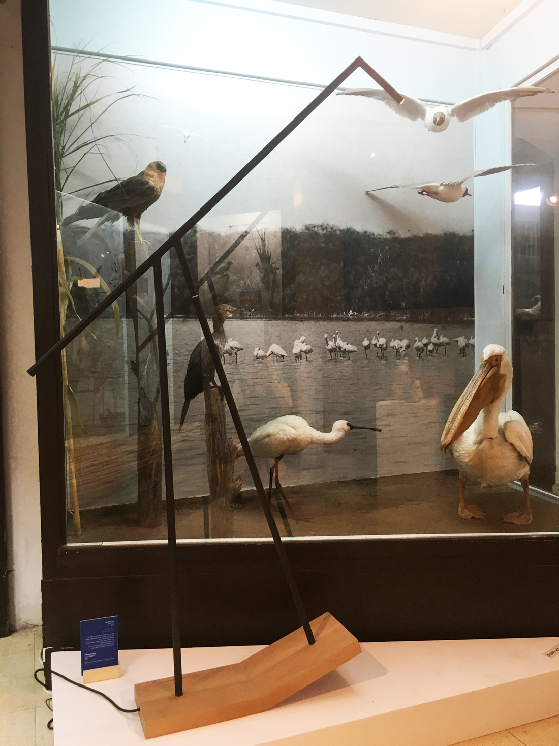 שבוע העיצוב ירושלים, JDW2017, סטודיו IN2