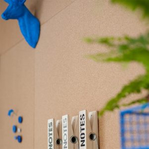 משרדים מפתיעים בבירת הנגב - באר שבע