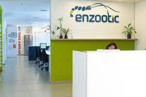 עיצוב משרד, עיצוב משרדים, עיצוב פנים